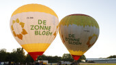 2025-06-18doopph-zbbcamerailonamuskens[292].jpg 